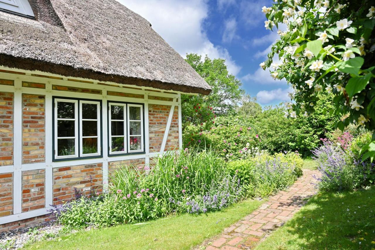 Landhaus Vilmnitz - Wohnung 8 Exterior foto