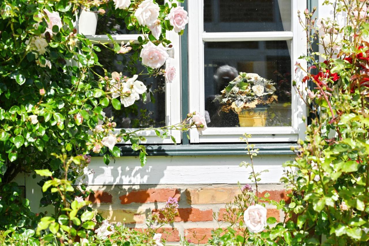 Landhaus Vilmnitz - Wohnung 8 Exterior foto